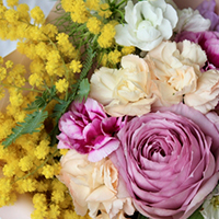 エグゼクティブサロンVIP